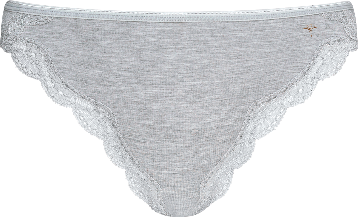 Brief