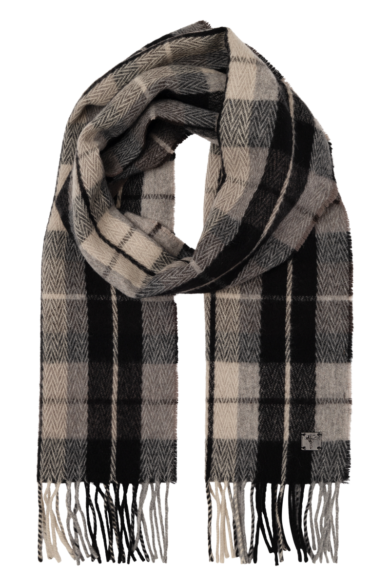 17 JSC-07Fabian 10020276