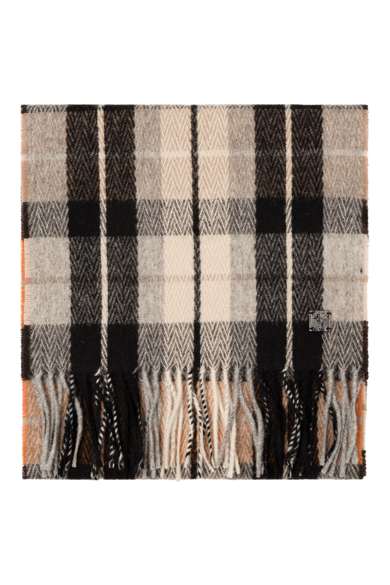 17 JSC-07Fabian 10020276