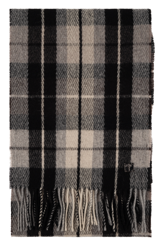 17 JSC-07Fabian 10020276