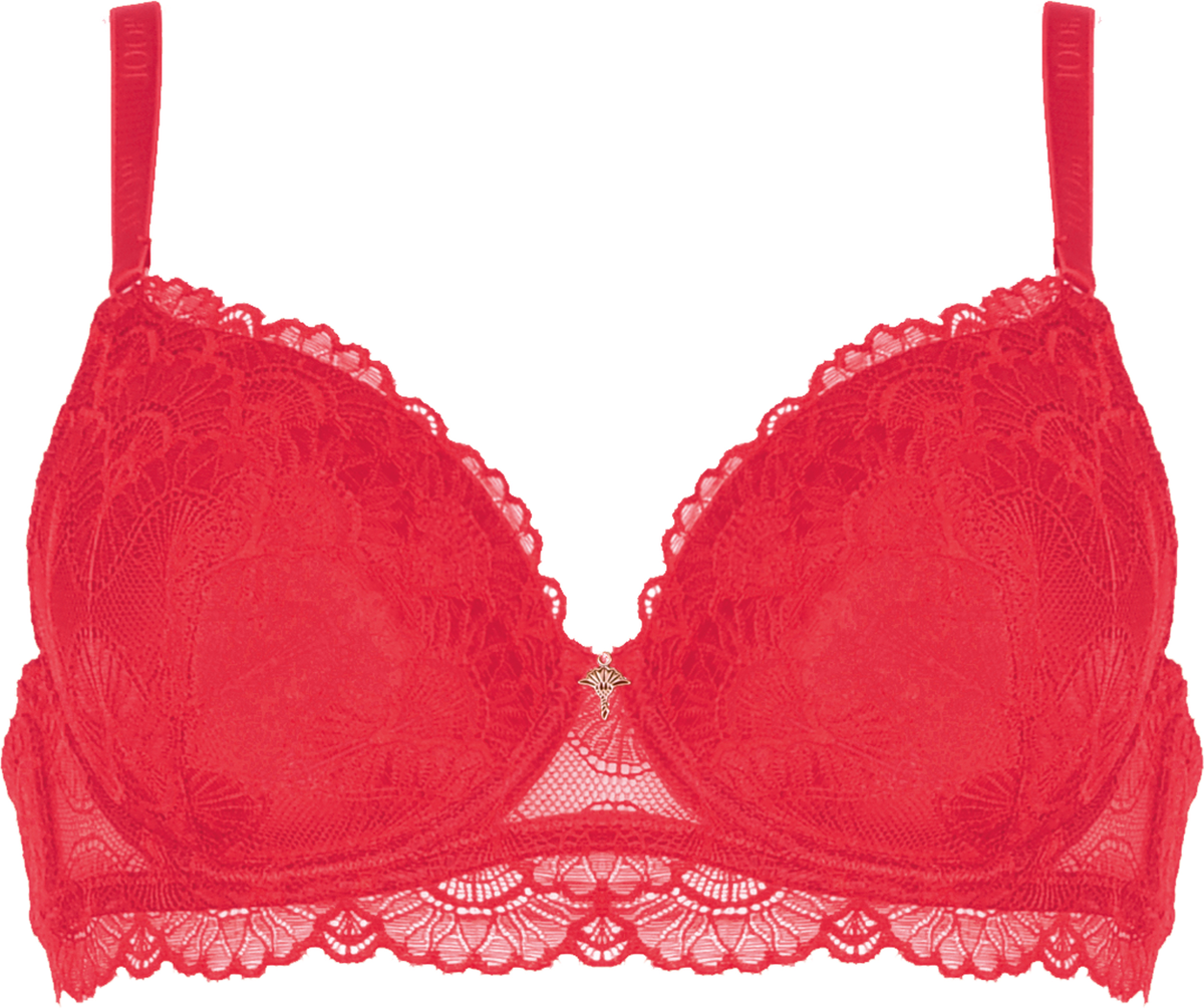 Underwired bra padded